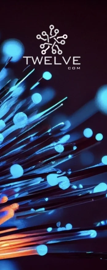 Twelve Group, Acteur-clé des infrastructures numériques